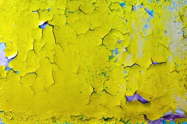 Similar image 246679