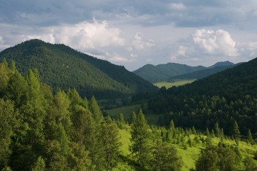 Similar image 246723