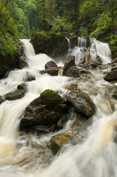 Similar image 246727