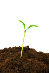 Similar image 246756