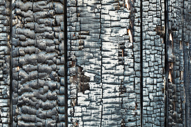 Similar image 246789