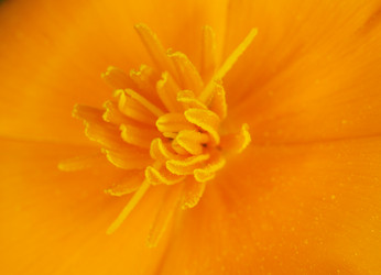 Similar image 246839