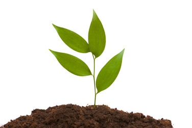 Similar image 246899