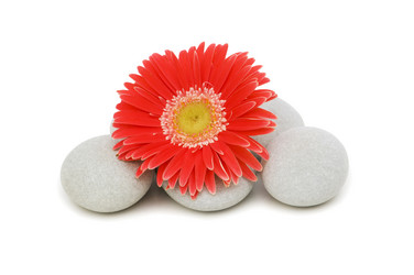 Similar image 246920