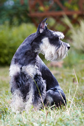 Similar image 246945