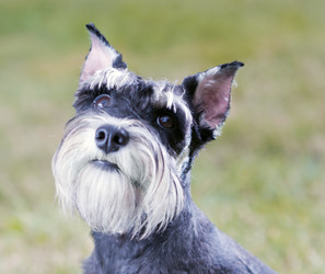 Similar image 246947