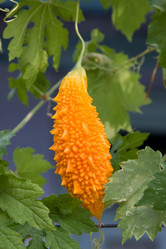 Similar image 246964