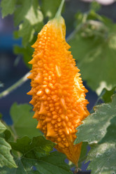 Similar image 246965