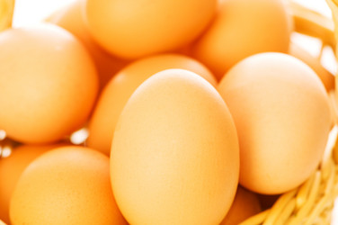 Similar image 246972