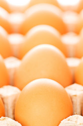 Similar image 246973