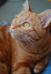 Similar image 246987