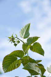 Similar image 247014