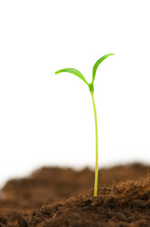 Similar image 247029