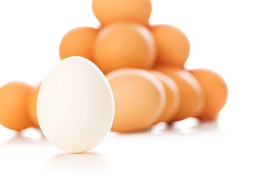 Similar image 247037