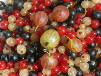 Similar image 247038