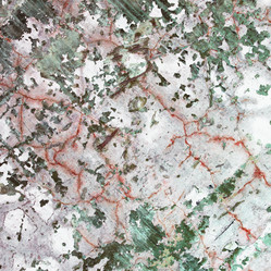 Similar image 247042