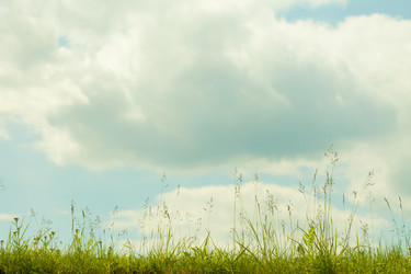 Similar image 247069