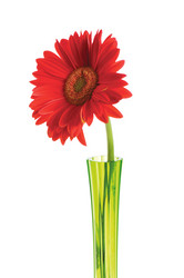 Similar image 247075