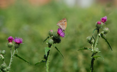 Similar image 247082