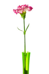 Similar image 247146