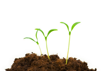 Similar image 247150