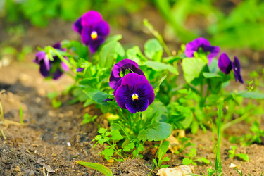 Similar image 247158