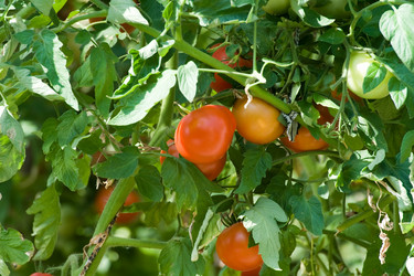 Similar image 247161