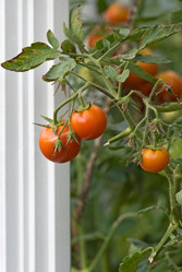 Similar image 247166