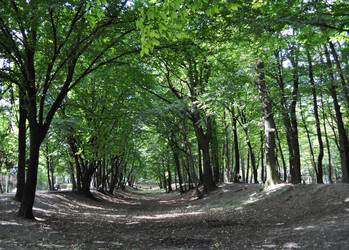 Similar image 247176