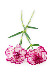 Similar image 247263