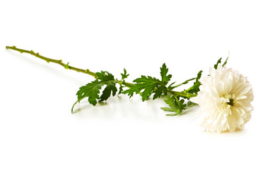 Similar image 247264