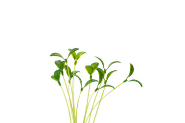 Similar image 247270