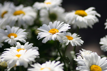 Similar image 247273