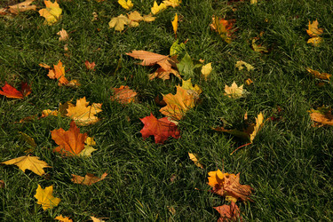 Similar image 247295