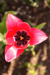 Similar image 247301