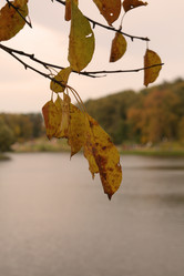 Similar image 247306