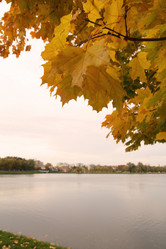 Similar image 247308