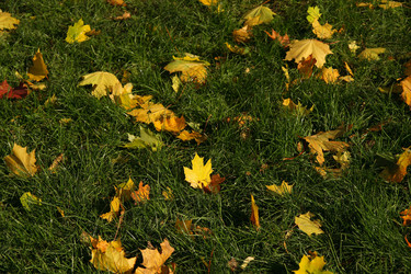 Similar image 247311