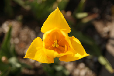 Similar image 247312