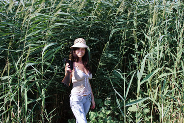 Similar image 247340