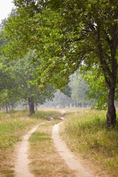 Similar image 247514