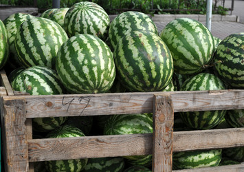 Similar image 247557