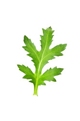 Similar image 247667