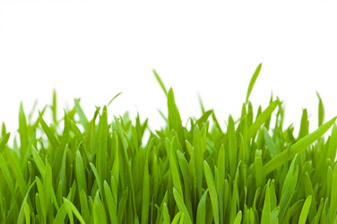 Similar image 247668