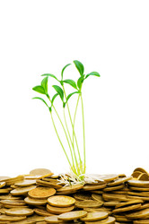 Similar image 247712