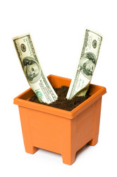 Similar image 247715