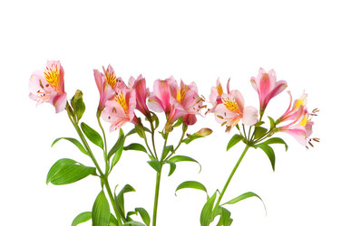 Similar image 247735