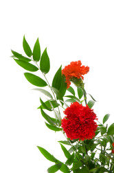 Similar image 247736