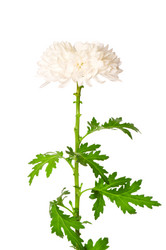 Similar image 247738