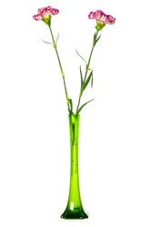 Similar image 247739